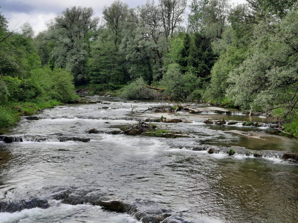 Unsere nächste Nordic-Walking-Tour am 20.07.2024